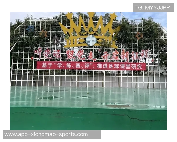 足球踢球教学设计探讨与实践方法分享促进青少年全面发展的课程方案